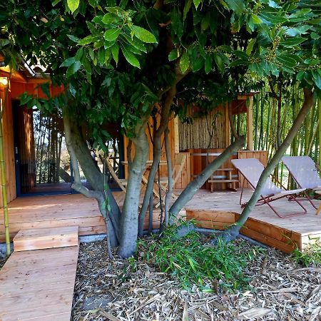 Maisonette Et Spa Bois La Begude-de-Mazenc Экстерьер фото